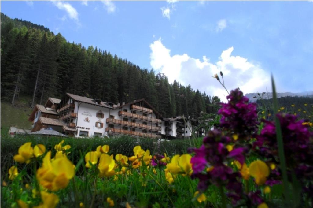 Hotel Scoiattolo Tesero Exterior photo